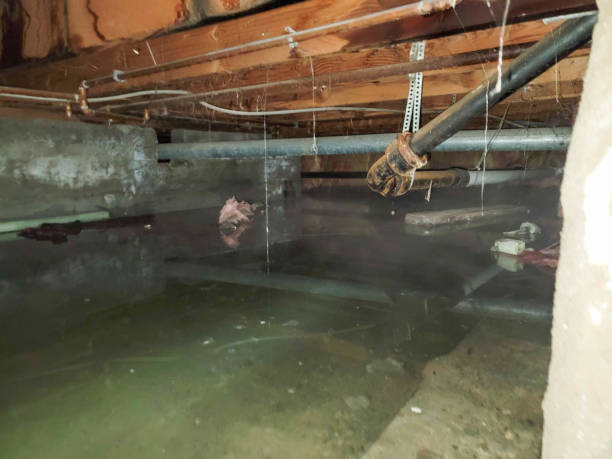 Best Emergency water damage restoration  in Lehighton, PA
