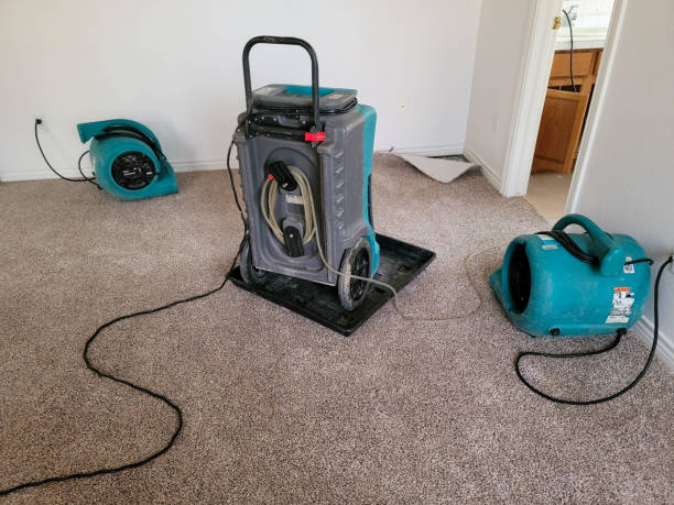 Best Ceiling water damage repair  in Lehighton, PA